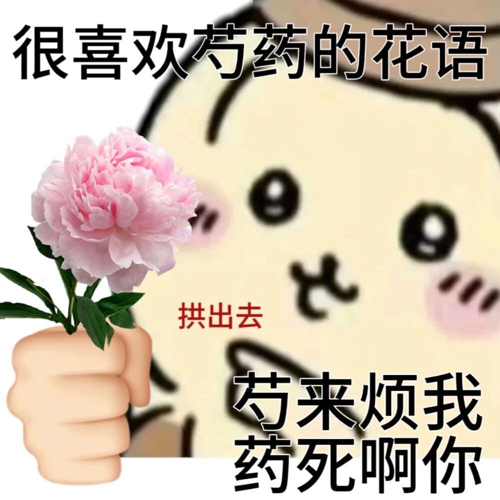 吉伊卡哇chiikawa花语表情包