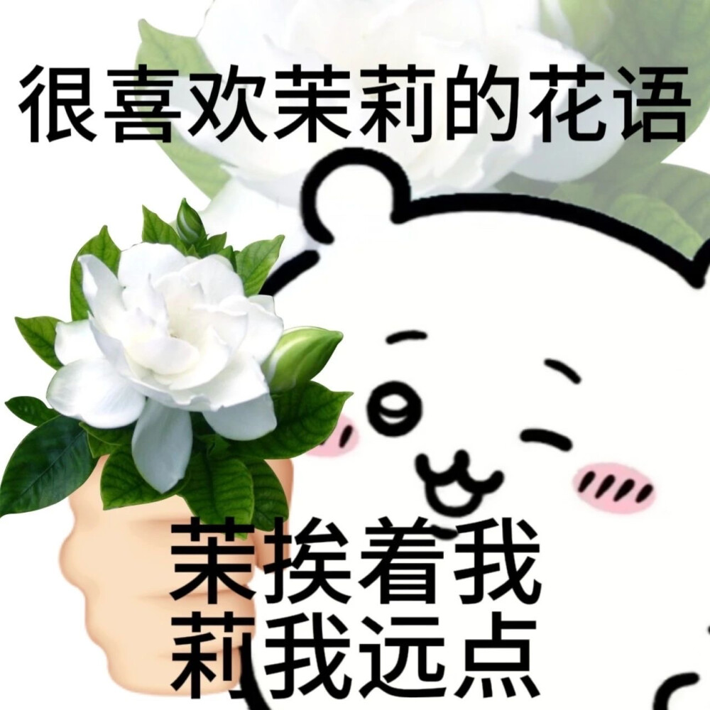 吉伊卡哇chiikawa花语表情包