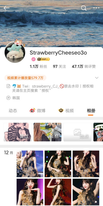 StrawberryCheeseo3o 不可二改站子 其他问题如图 有问题请提出 做应援物可二改