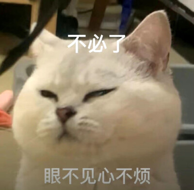 表情