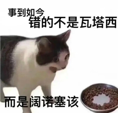 有意思