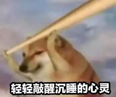 有意思