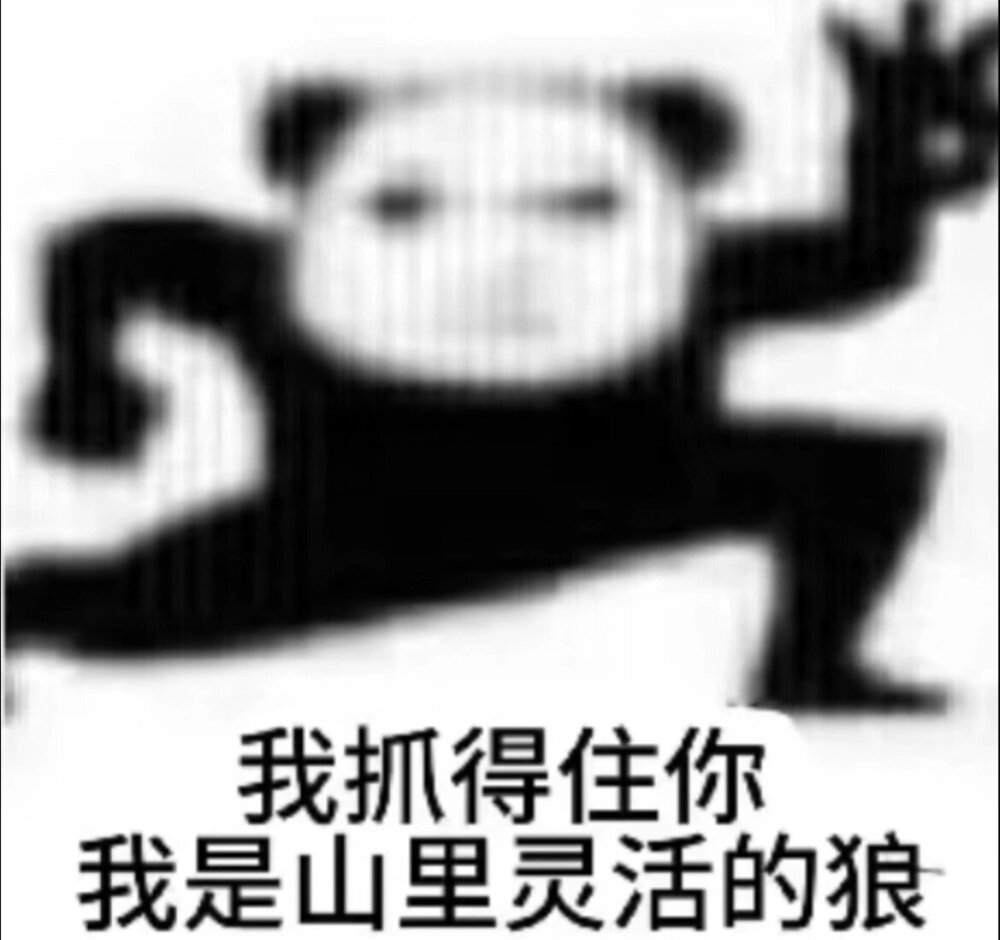 搞笑表情包