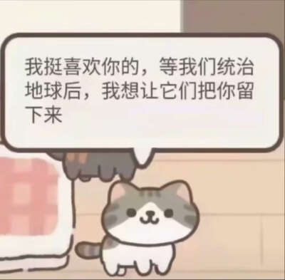 什么都有