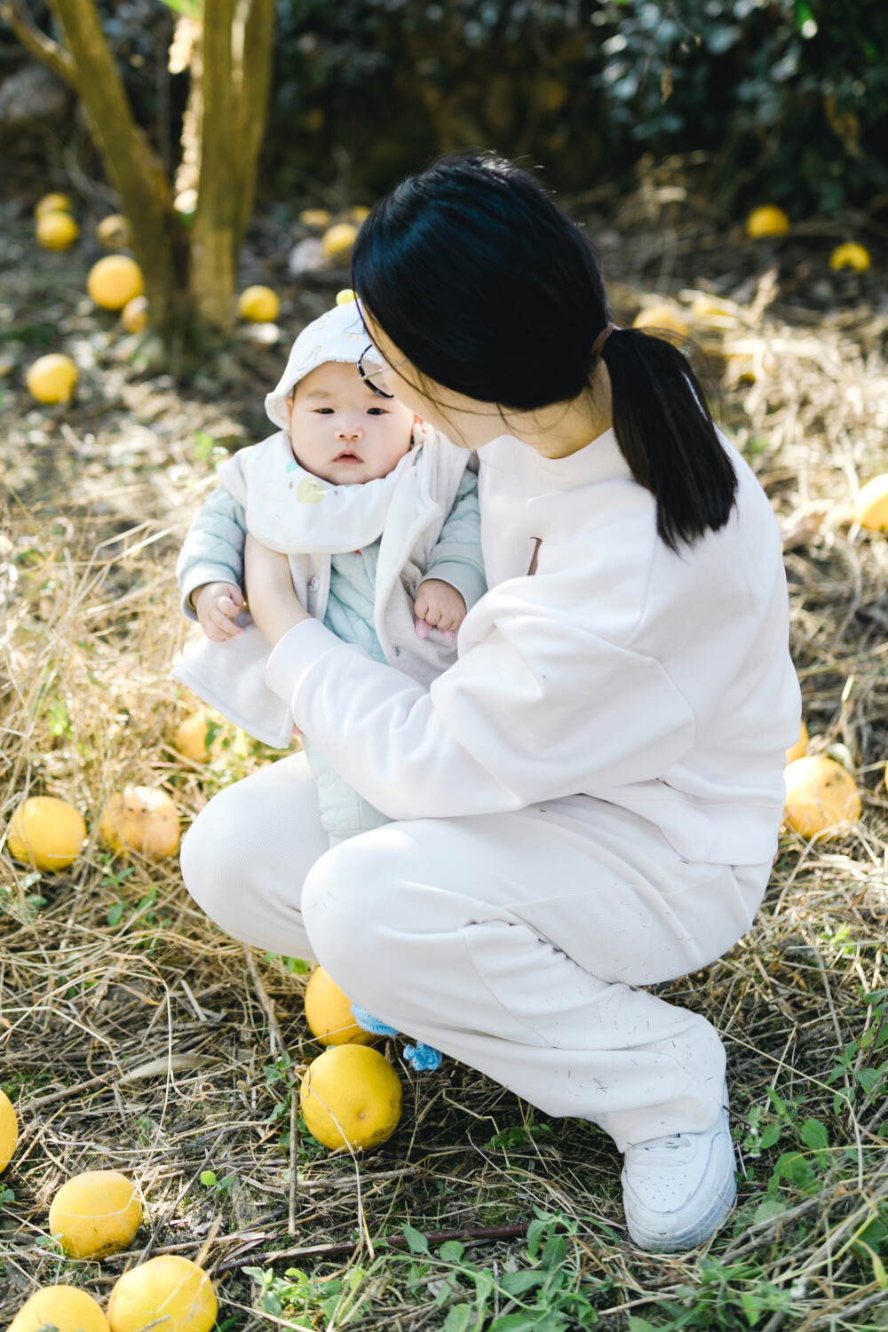 家里的胡柚
摄影：洪小漩
年休假的前几天，回了一趟浦江。
因为弟媳尚在产假期间，父母也得以尽在老家一段时间。菲比也与鲜少有机会见的弟弟沐沐有机会近距离相处。
在家里的日子里，老屋那边的邻居姨打电话来和妈妈叙话，妈妈说：我忙着抱孙子，没时间去摘，你们快去摘光，别浪费了。
妈妈说的是胡柚。几株胡柚树，听说果子挂满枝头。
姨得知我回来，说让童琦先摘嘛，我们有功夫的。
于是，我和弟媳带着两个孩子踱步去了地里，我预想着随意摘几个，顺便拍几张照。毕竟，也不是冲着吃去的。
没想，一到目的地，沐沐就干了件大事，我们一行只能打道回府，给他换尿布洗漱。
折腾一圈后，我带着菲比两人独自前往，计划完