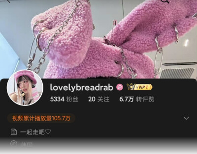 lovelybreadrab 范玉欣hanni站子不可二改