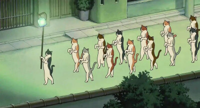 电脑/ipad壁纸