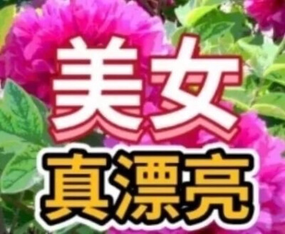 搞怪表情包