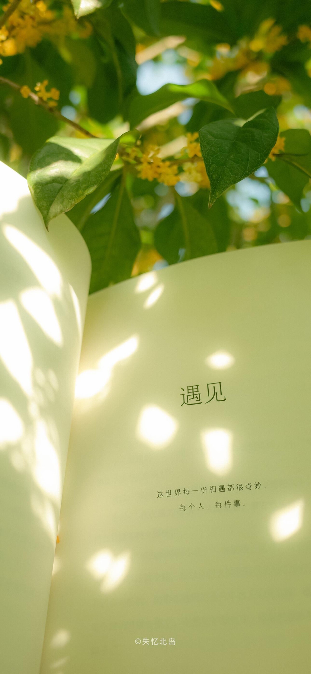 壁纸