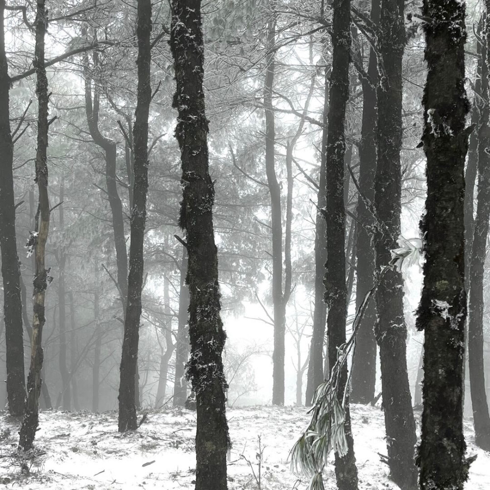 冬日氛围感壁纸 朋友圈背景图