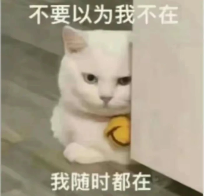 搞笑的猫猫狗狗无处不在~