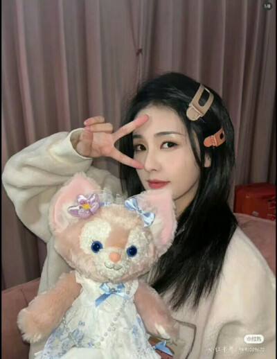 爱豆——白鹿照片