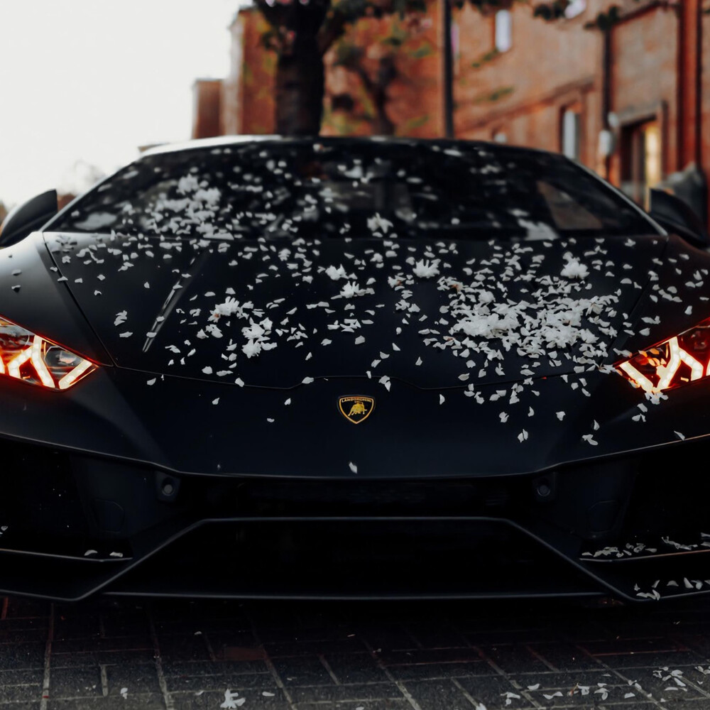 汽车跑车男生女生机械头像图片素材，宝马，保时捷，奔驰汽车头像，兰博基尼,jeep，法拉利