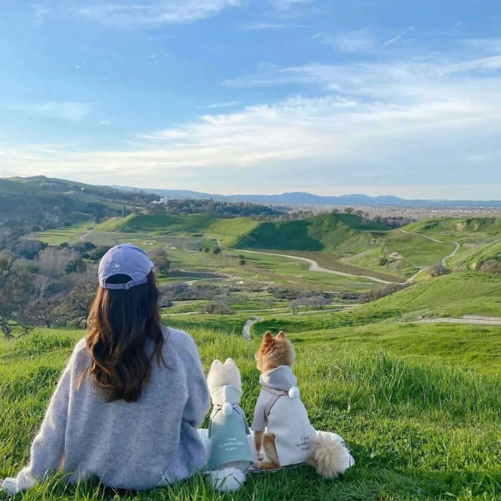 女生背影背景头像套图另外收集