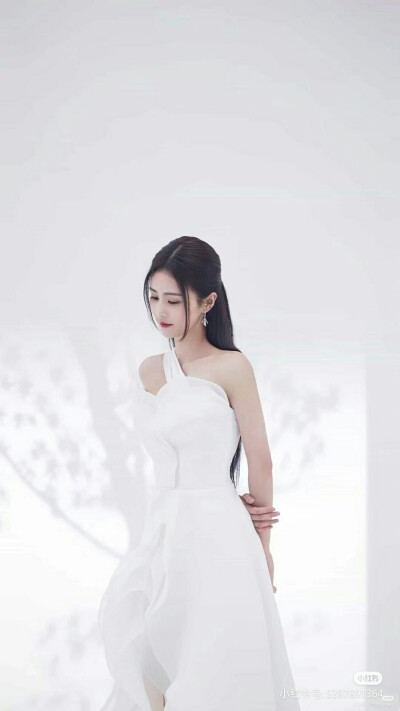 爱豆——白鹿照片