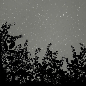 星空太空宇宙头像