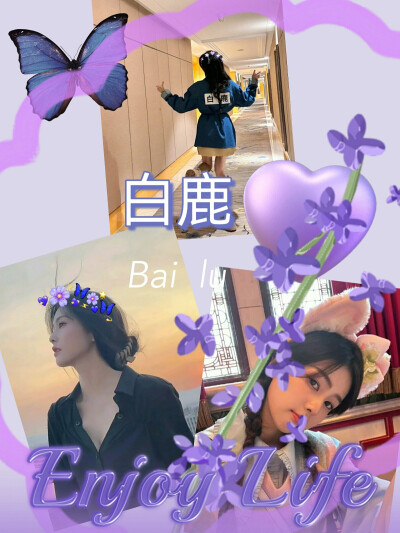 爱豆——白鹿照片