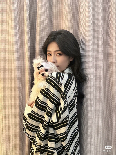 爱豆——白鹿照片