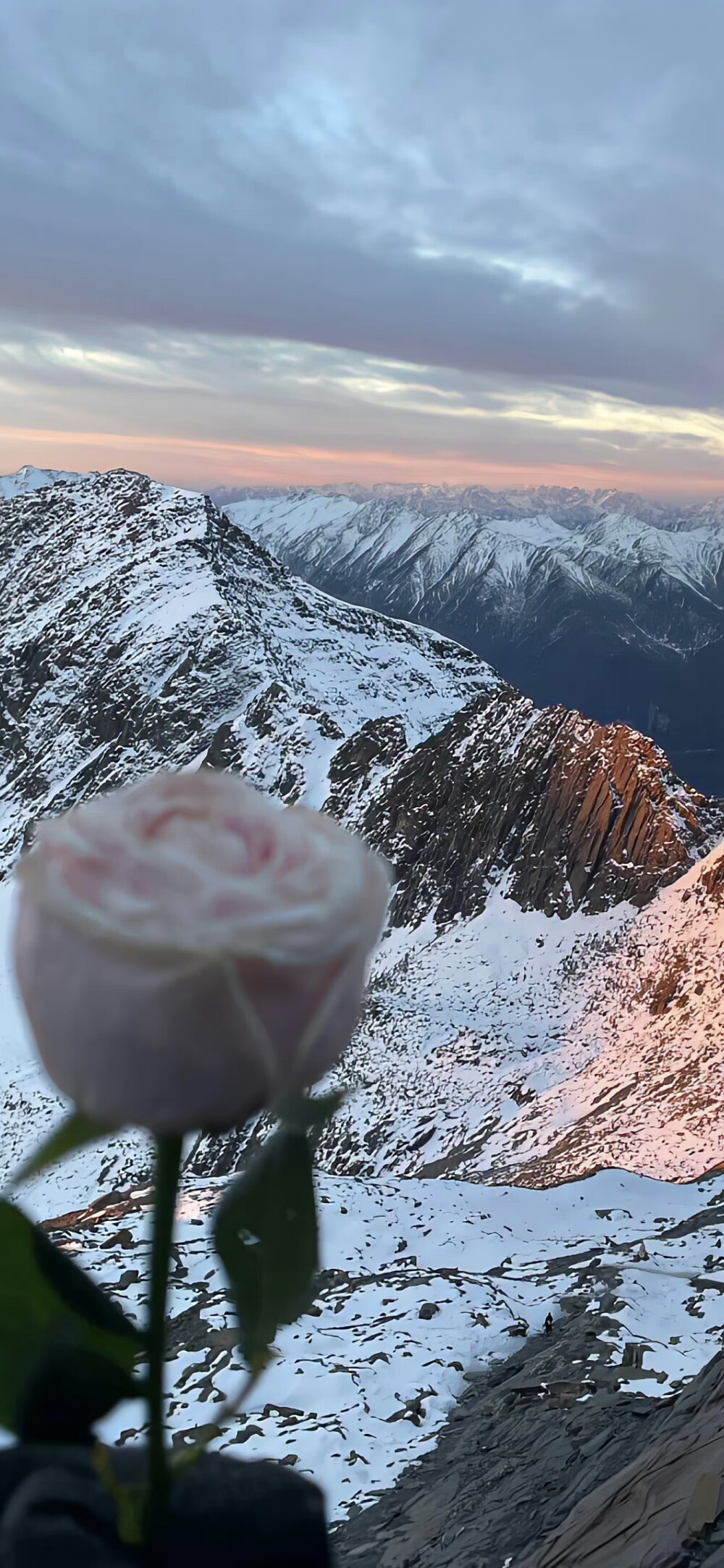 冬日壁纸 下雪壁纸