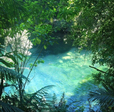 背景.图源微博