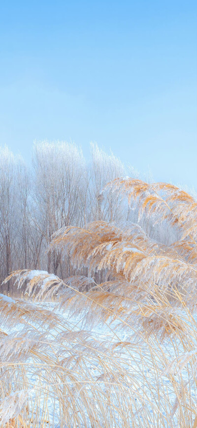 素材 壁纸 背景图 蓝色 雪景