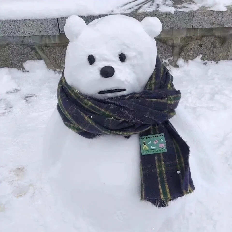 背景图 雪景