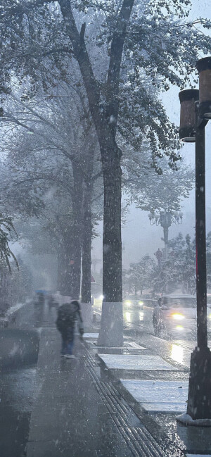 冬日壁纸 下雪壁纸