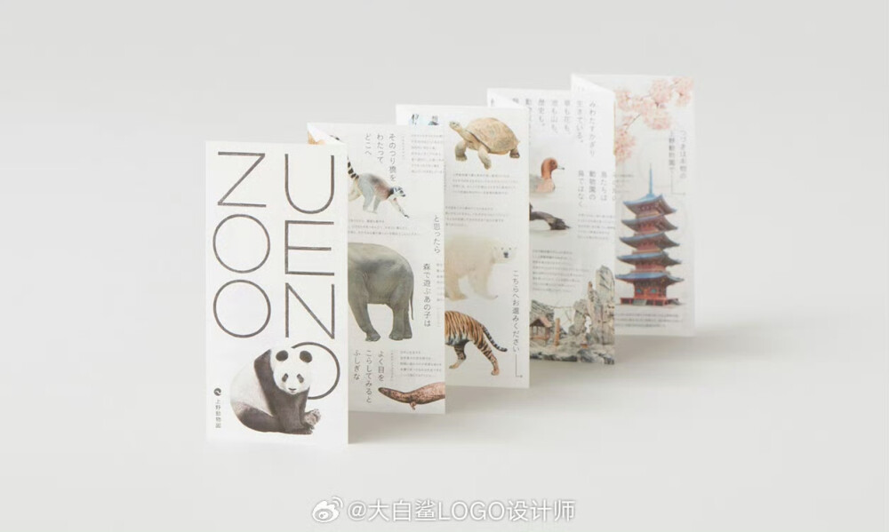 #LOGO设计# 折页版式参考 ​​​