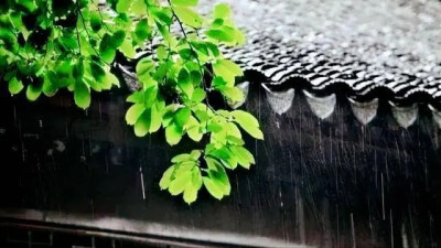 秋长情漫，屋檐听雨。