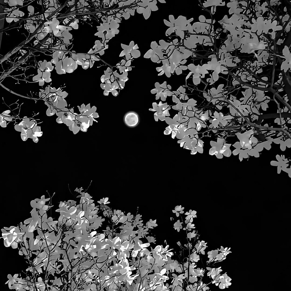 黑色系朋友圈背景图