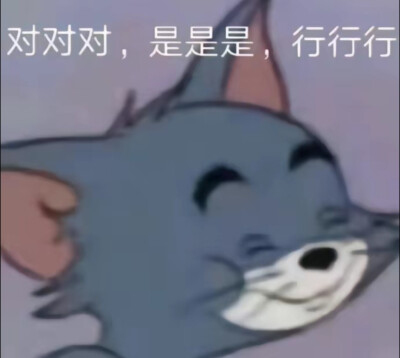 不太聪明/表情包