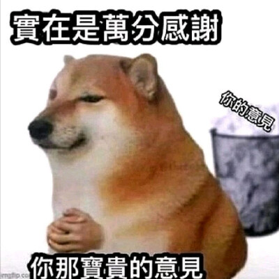 表情