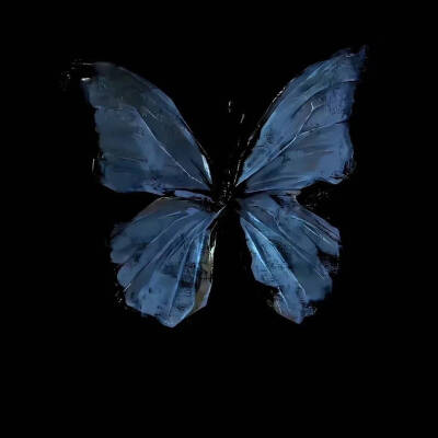 灵感 -
蝴蝶
butterfly