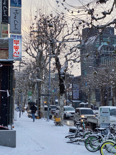 是不是有些地方今天下雪啦