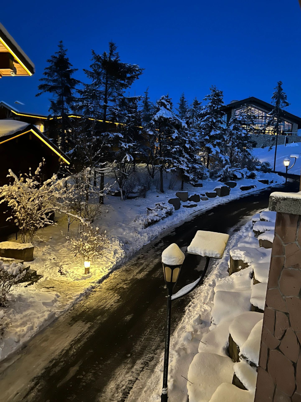 是不是有些地方今天下雪啦