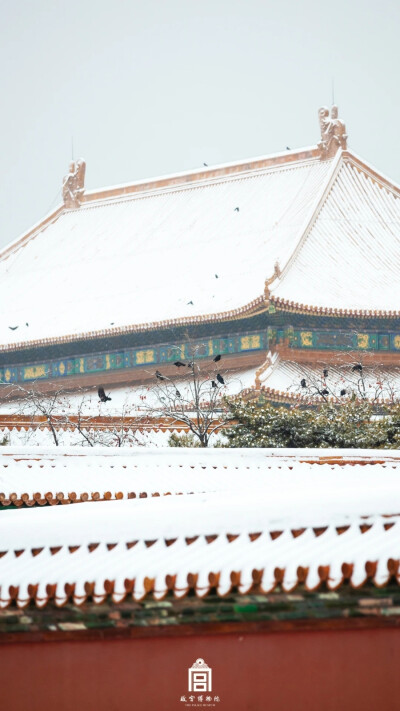 2023.12.11初雪故宫