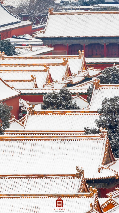 2023.12.11初雪故宫