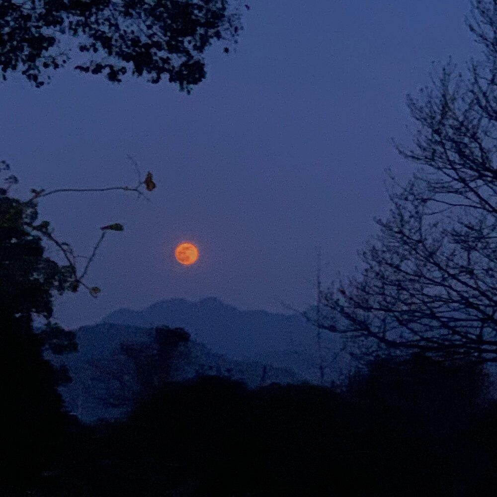 唯美风景头像