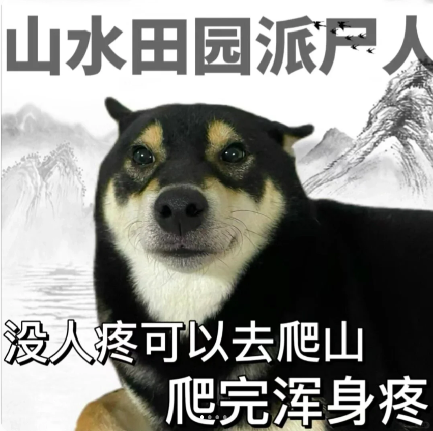 表情包