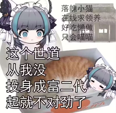 兽人表情包