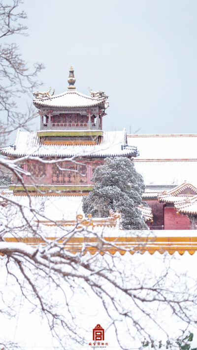 2023.12.11初雪故宫