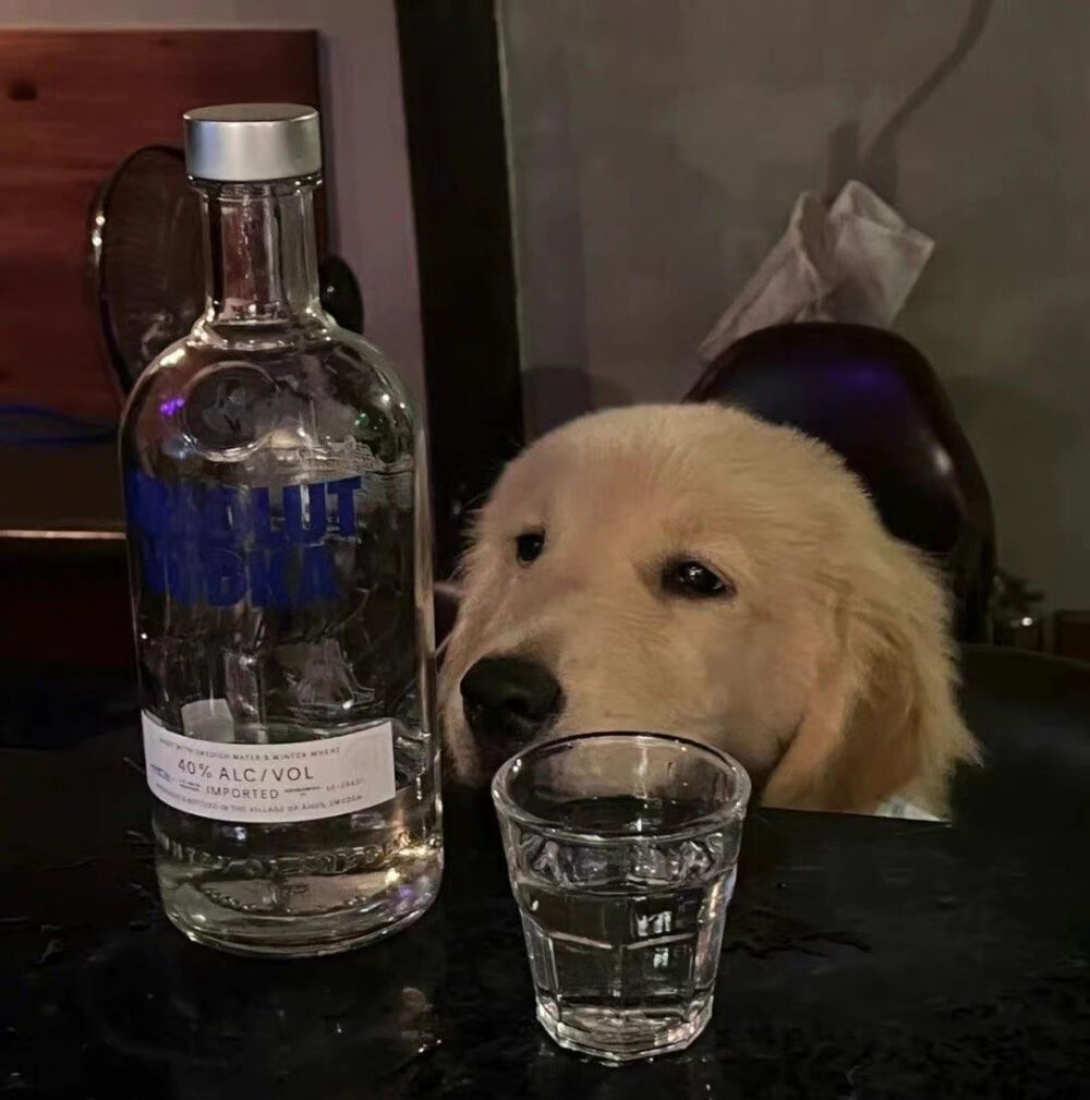 动物头像狗狗头像