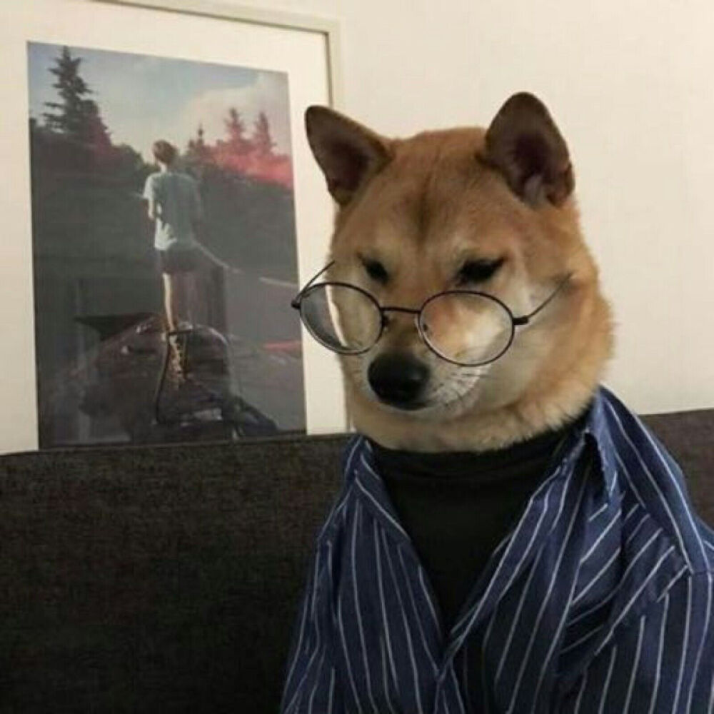 动物头像狗狗头像