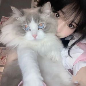 可爱高颜值女生头像