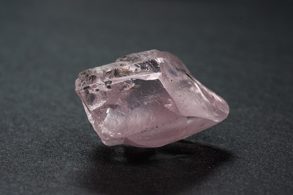 南非钻石招标公司售出一颗 29.52ct 粉钻原石「Protea Pink」总价超过800万美元，平均单克拉价格高达27.13万美元。于2023年6月在南非Orange River中游河岸的矿床中被发现，为 Type II 型 Fancy Vivid Pink 艳彩色级。南非国花 Protea （帝王花、普罗蒂亚花），象征其拥有同样柔美的粉色调 