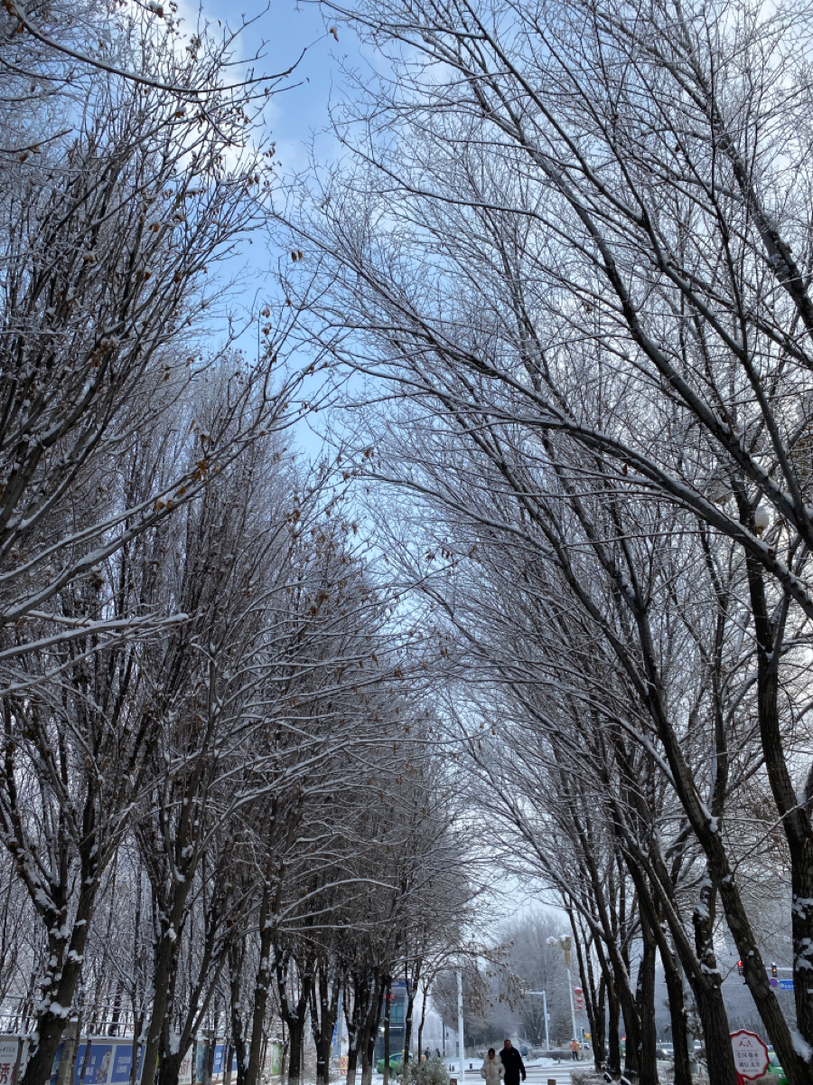 好好好 之前还一直在讲怎么今年都12月都没正儿八经下过一场大雪 好嘛 最近直接怒下了四天 雪落的厚厚的 走在路上嘎吱嘎吱的响 