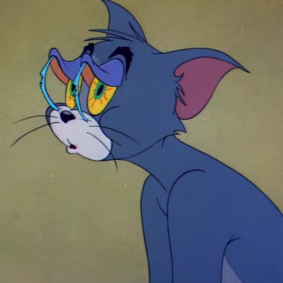 猫和老鼠
