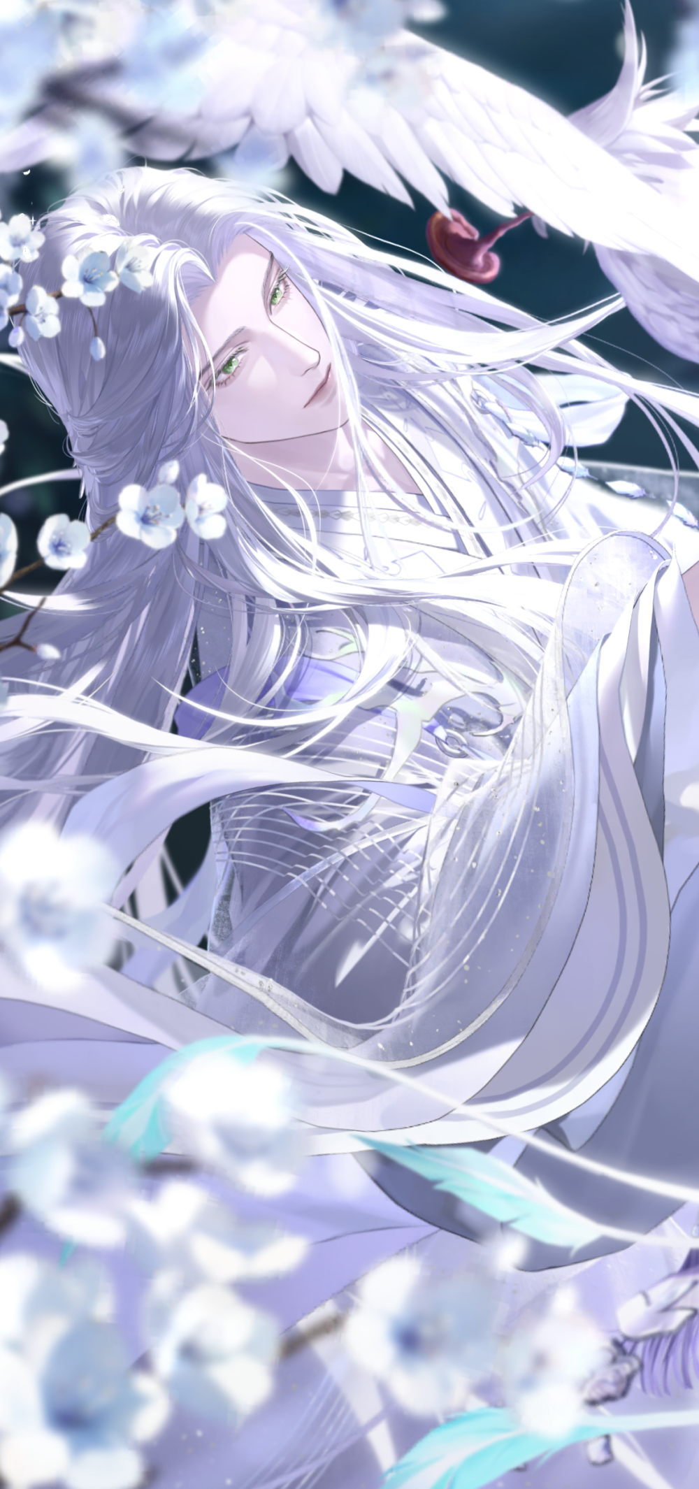 代号鸢▪左慈
cr.Suaho_