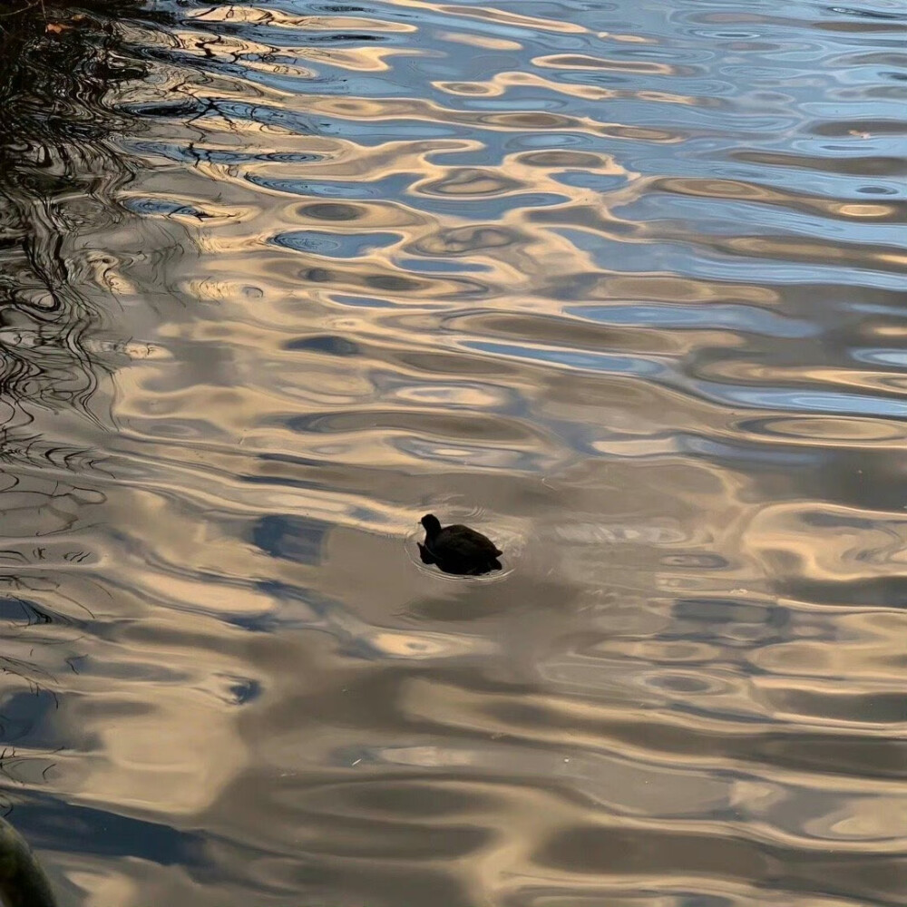 水波纹背景图