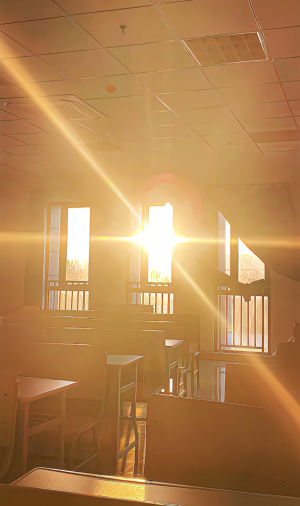 开心捏 再过一个月我一年的努力就可以白费啦  嘻嘻 还好没有努力